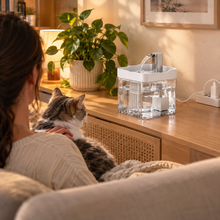 Fuente para gatos en el salón
