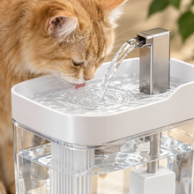 Chorro de agua de la fuente de cerca